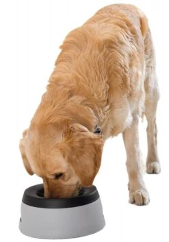 Hunter Rejsevandskål -Stihl Butik B 77 820 3 j12 1280x1280