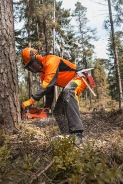 ForesShield Jakke Robur -Stihl Butik B 92 137 01 92 138 01 m 3 j13ZfCCb7NFi64qS 1280x1280