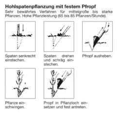 Plantespade Med Træskaft ”Oldenborg Form” -Stihl Butik art 61 072 3 1280x1280