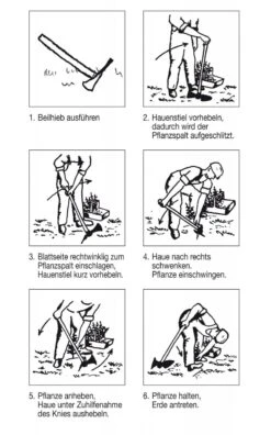 Oval Wiedehopfhakke 7 Oval Wiedehopfhakke -Stihl Butik art 61 150 3 1280x1280