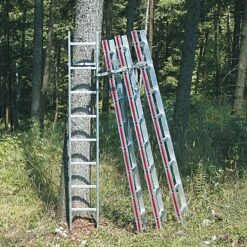 420-cm-basissegment Til Opkvistningsstige Distel II