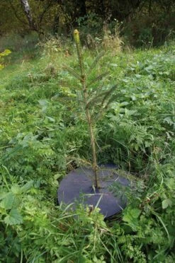 PlantaGard Texon 610