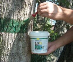 Schacht Lim Mod Insekter