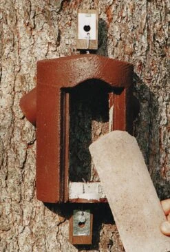 Træløber-redekasse 2B