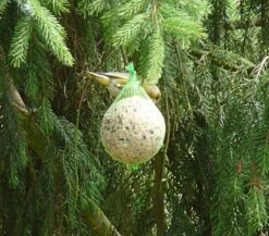 Tedje Kæmpe Mejsekugle