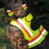 Hunde-advarselsveste -Stihl Butik art 77 787 1 1280x1280